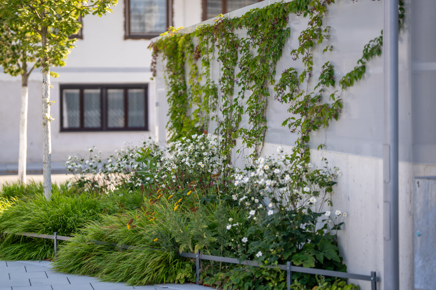 Wohn- und Geschäftshaus Hauptplatz Lanzenkirchen