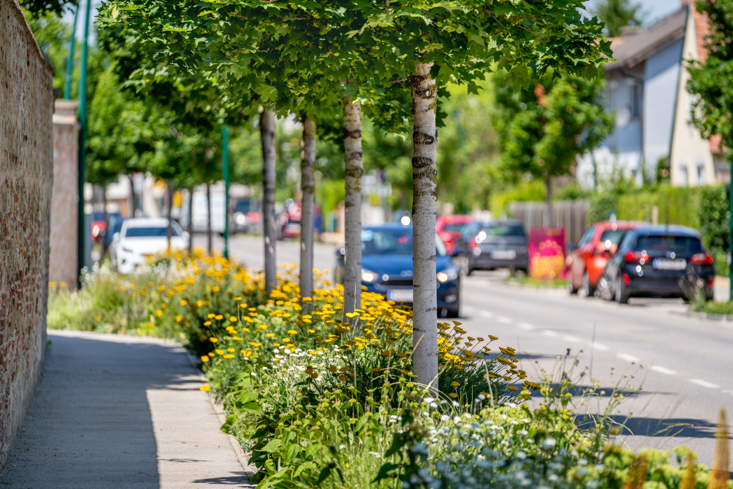 Hauptstraße Wiener Neudorf