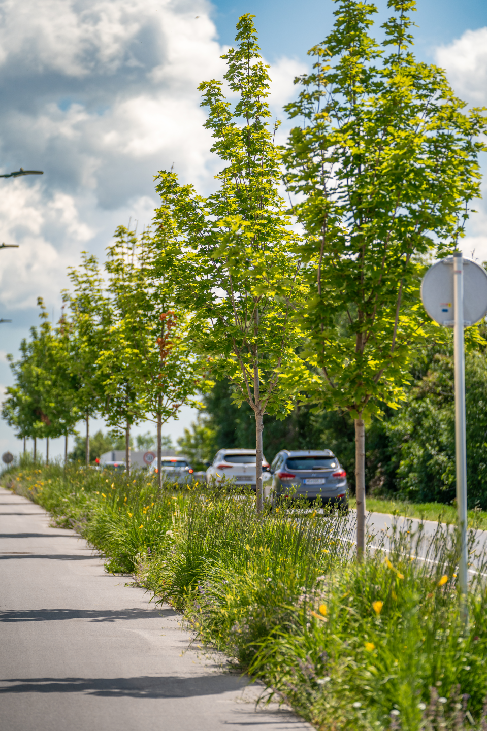 Hauptstraße Wiener Neudorf