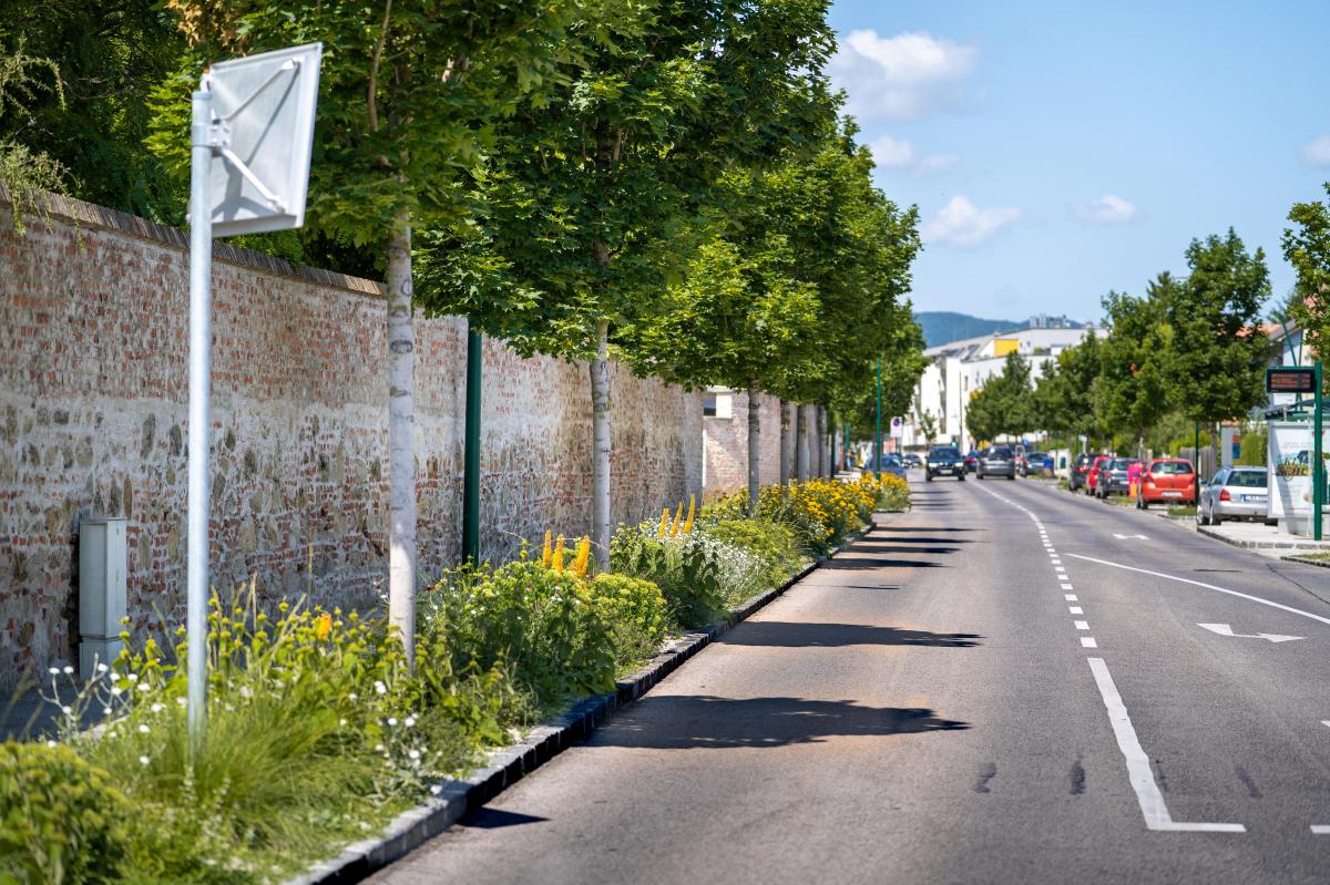 Hauptstraße Wiener Neudorf
