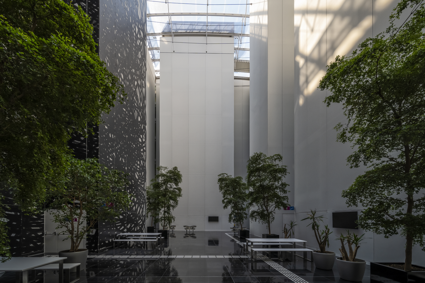 Umbau Institutsgebäude Kolingasse Universität Wien