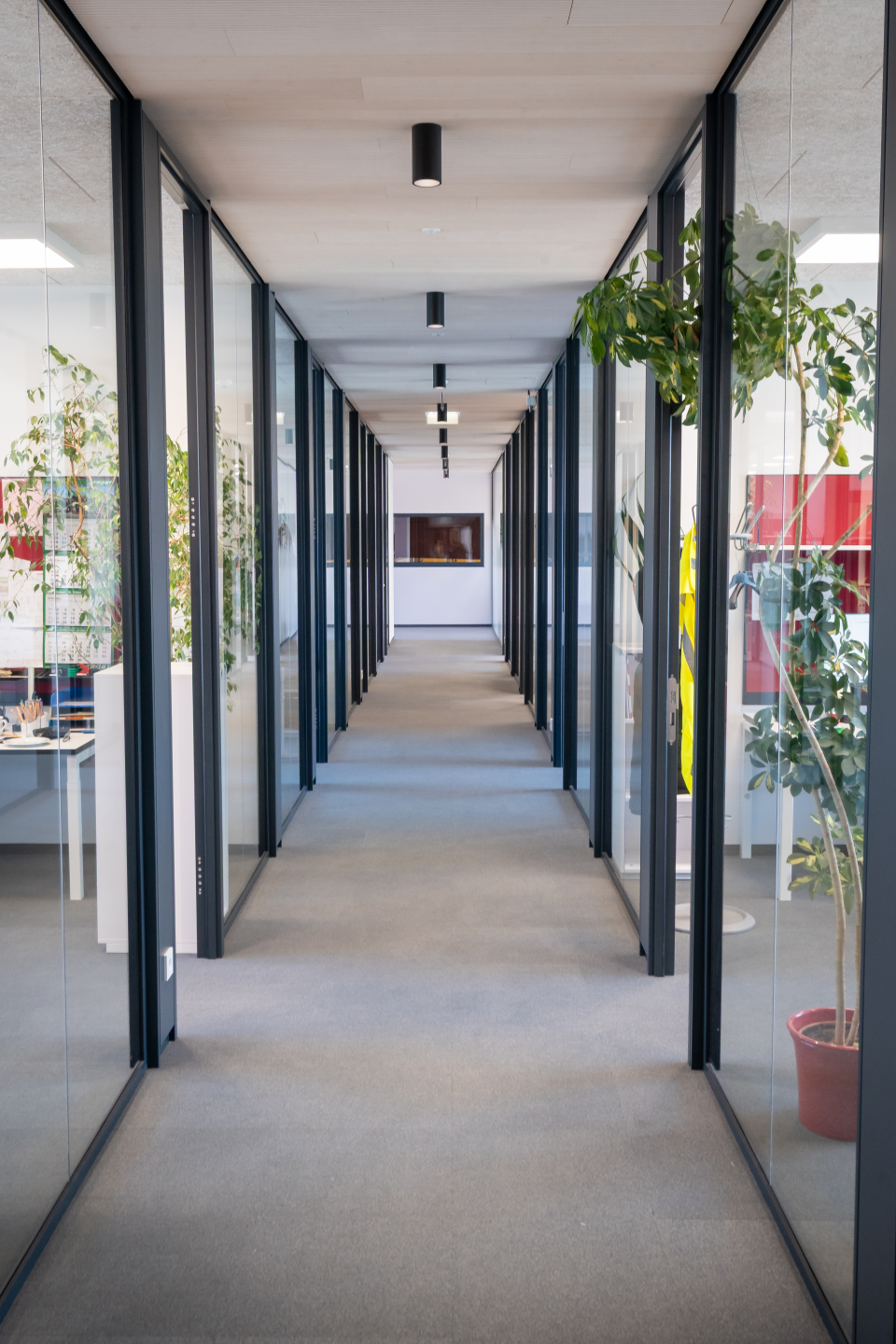 Standorterweiterung Betriebsanlage Rubner Ober-Grafendorf