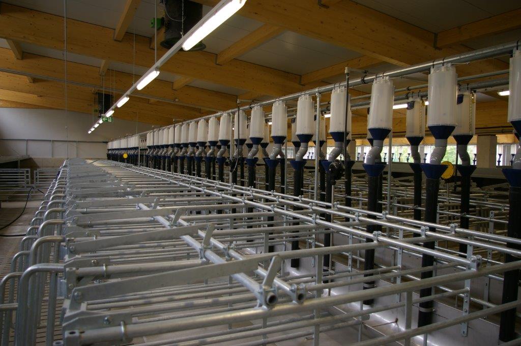Vetfarm Kremesberg - Schweineanlage Medau