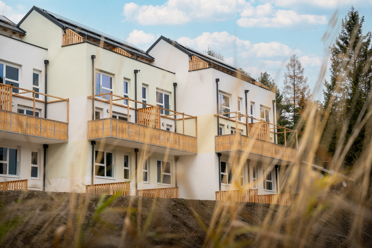 Wohnhaus Spital am Semmering